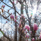 Illustration for article titled Shooting Challenge: Spring